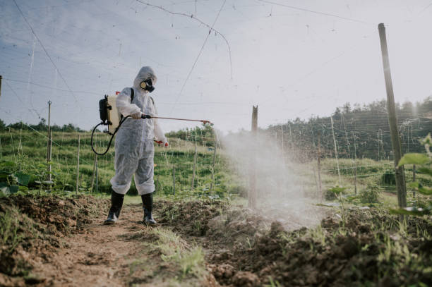 Best Pest Control Cost  in Caledonia, MS