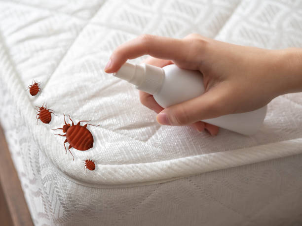 Best Insect Control  in Caledonia, MS