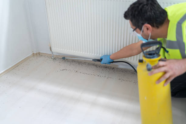 Best Bed Bug Extermination  in Caledonia, MS