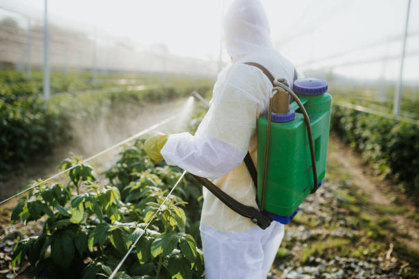 Pest Control for Restaurants in Caledonia, MS